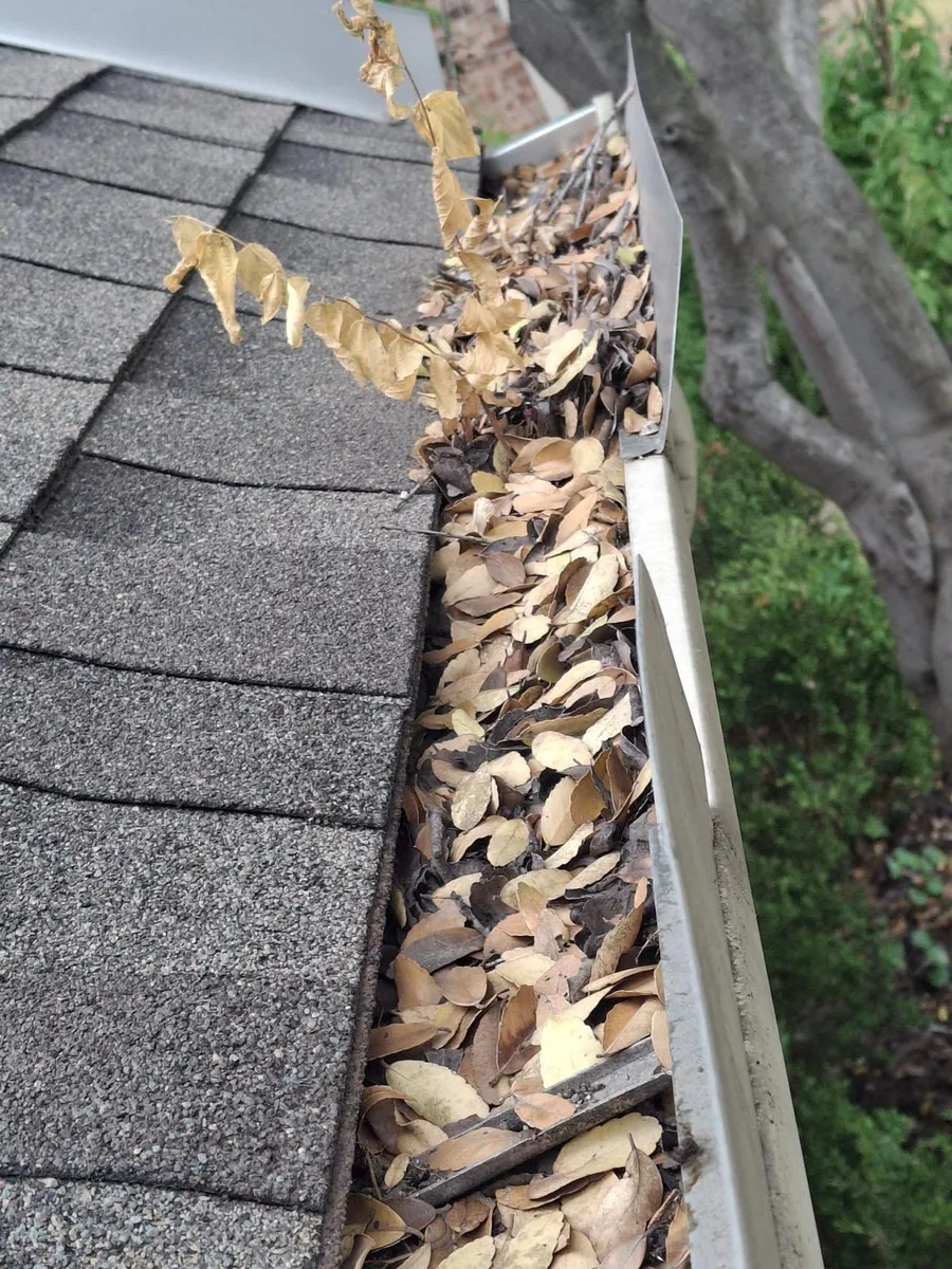 Gutter cleaning — clogged gutter packed with leaves in Dallas–Fort Worth