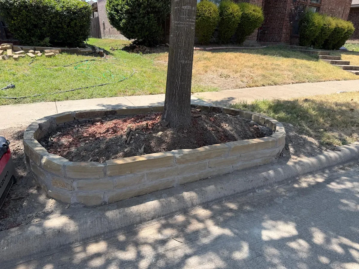 Stone tree-ring planter with mulch Dallas Fort Worth TX