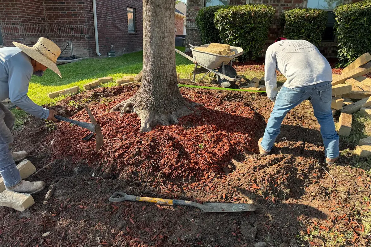Flower bed before — bare dirt and sparse landscaping — Dallas Fort Worth TX