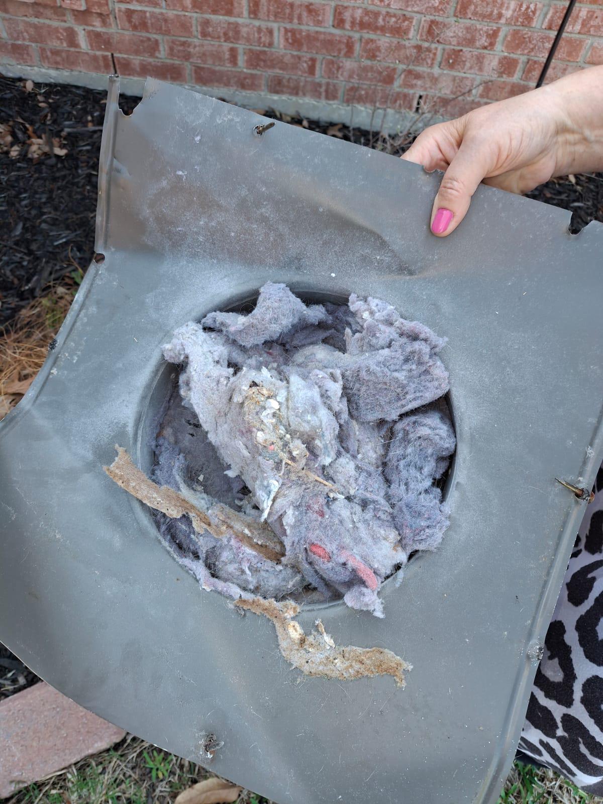 Dryer vent cleaning and cap replacement Dallas TX